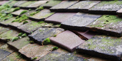 Bradwell On Sea roof repair costs